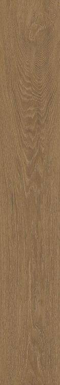 Time Wood Essence 7.5 x 48